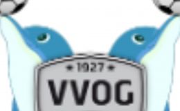 Teamfoto VVOG Harderwijk Dolfijntjes