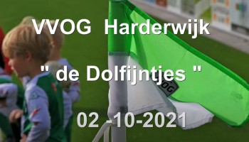 Sfeerverslag training VVOG Dolfijntjes