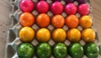 Eieren zoeken….een eitje?