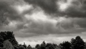 Afgelasting training Orka's 13 maart