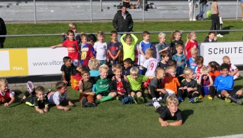 De Dolfijntjes in actie!