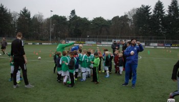 Examendag voor Dolfijntjes en Orka's