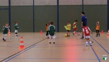 Eerste zaaltraining Orca's en Dolfijntjes