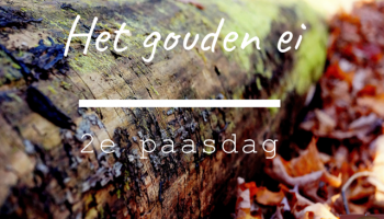 Het gouden ei van de ZAVO